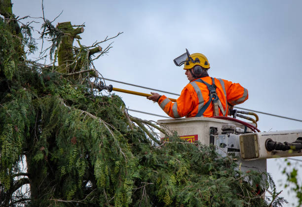 Best Hazardous Tree Removal  in Otis Orchards East Farms, WA