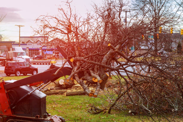 Best Seasonal Cleanup (Spring/Fall)  in Otis Orchards East Farms, WA